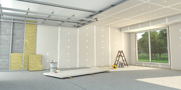 Best Specialized Insulation Services in Long Lake, MN